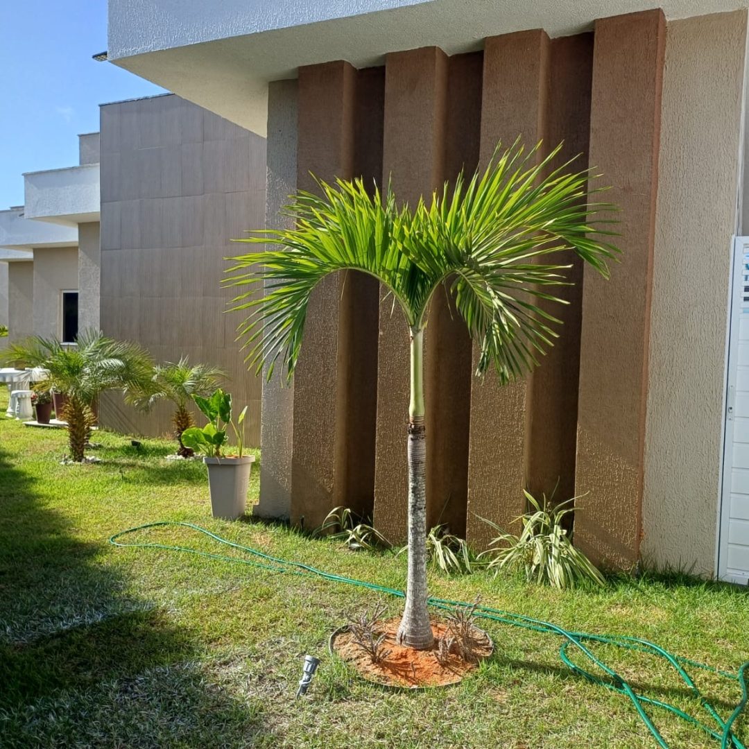 e409d01e-e90b-440d-bdbb-87163317f36b